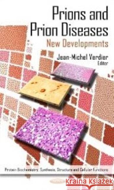 Prions & Prion Diseases: New Developments Jean-Michel Verdier 9781621000273 Nova Science Publishers Inc