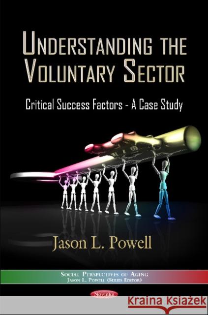 Understanding the Voluntary Sector: Critical Success Factors -- A Case Study Jason L Powell 9781621004998 Nova Science Publishers Inc