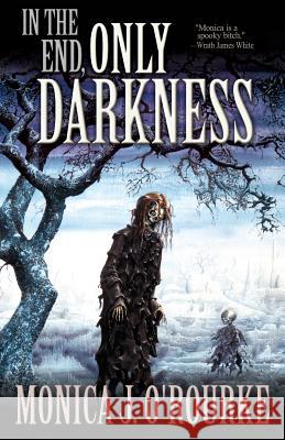 In the End, Only Darkness Monica J O'Rourke   9781621051602