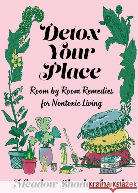 Detox Your Place Meadow Shadowhawk 9781621061496 Microcosm Publishing