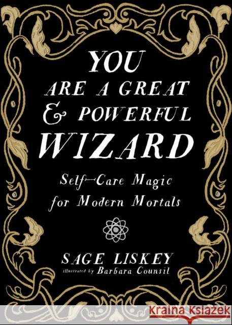 You Are A Great and Powerful Wizard Sage Linskey 9781621064831 Microcosm Publishing