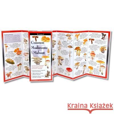 Common Mushrooms of the Midwest Kirsten McKnigh R. Rohrer Joseph                         B. McKnight Karl 9781621263975