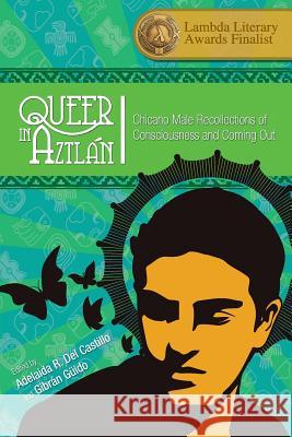 Queer in Aztlán: Chicano Male Recollections of Consciousness and Coming Out Del Castillo, Adelaida R. 9781621318071