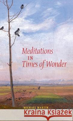 Meditations in Times of Wonder Michael Martin 9781621385813 Angelico Press