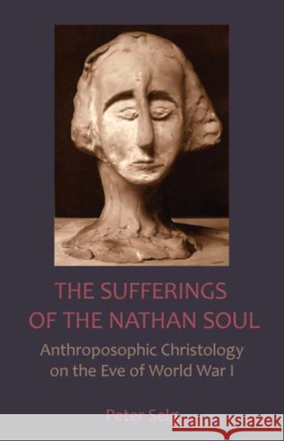 The Sufferings of the Nathan Soul: Anthroposophic Christology on the Eve of World War I Selg, Peter 9781621481508 Steiner Books