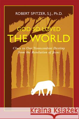 God So Loved the World: Clues to Our Transcendent Destiny from the Revelation of Jesus Fr Robert J. Spitzer 9781621640363 Ignatius Press