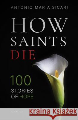 How Saints Die: 100 Stories of Hope Antonio Maria Sicari 9781621644491