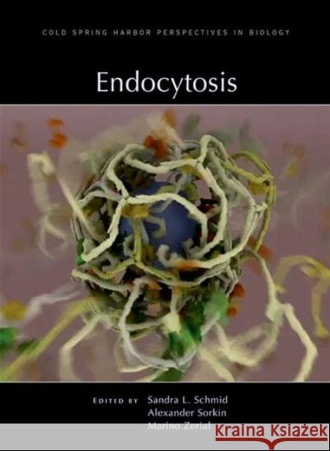 Endocytosis Sandra L. Schmid Alexander Sorkin Marino Zerial 9781621820246