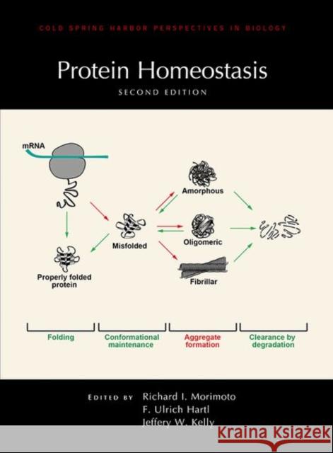 Protein Homeostasis, Second Edition Jeffery W. Kelly Franz-Ulrich Hartl Richard Morimoto 9781621822967