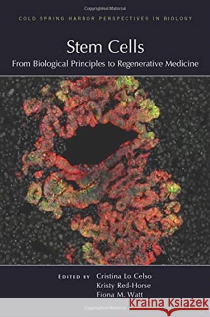 Stem Cells: From Biological Principles to Regenerative Medicine Lo Celso, Cristina 9781621823391 Cold Spring Harbor Laboratory Press