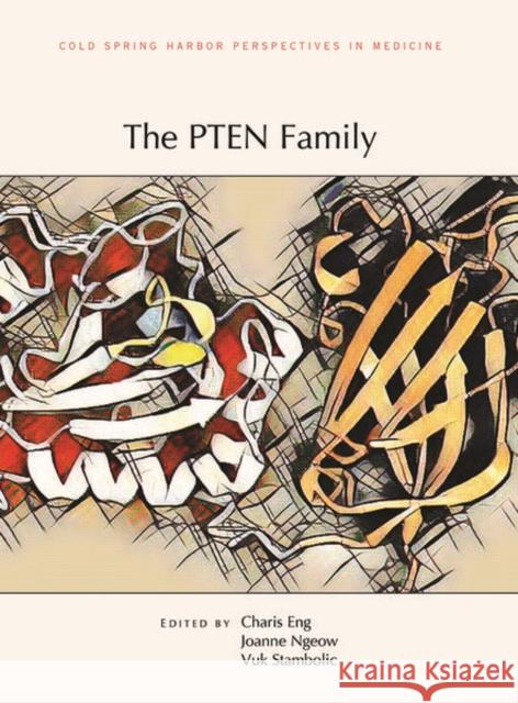 The Pten Family Joanne Ngeow Charis Eng Vuk Stambolic 9781621823445