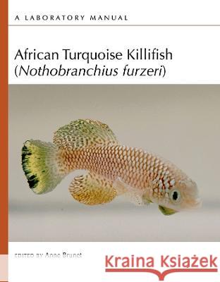 African Turquoise Killifish (Nothobranchius Furzeri): A Laboratory Manual Anne Brunet 9781621824602 Cold Spring Harbor Laboratory Press