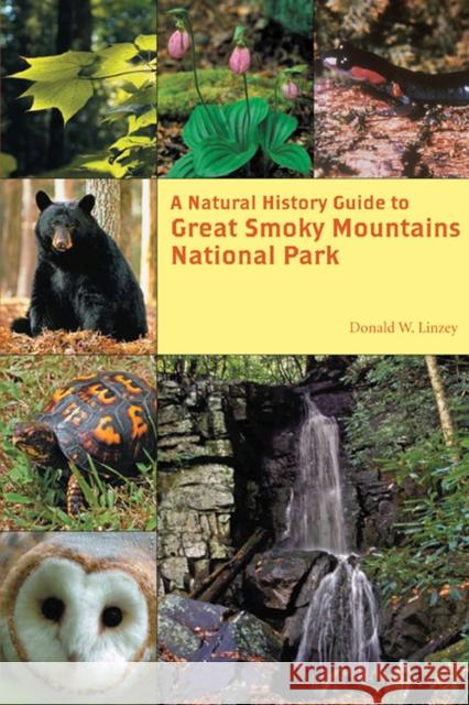 A Natural History Guide to Great Smoky Mountains National Park Donald W. Linzey 9781621908647 Univ Tennessee Press