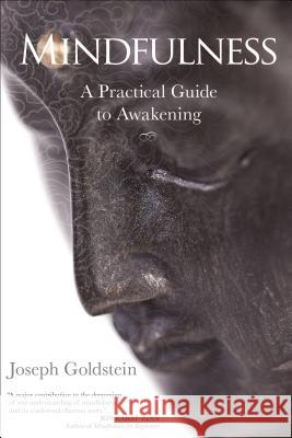 Mindfulness: A Practical Guide to Awakening Joseph Goldstein 9781622036059
