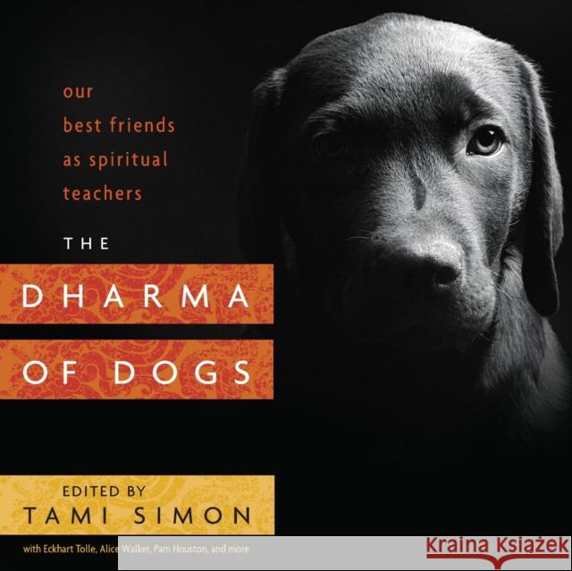 The Dharma of Dogs: Our Best Friends as Spiritual Teachers Tami Simon 9781622037414 Sounds True