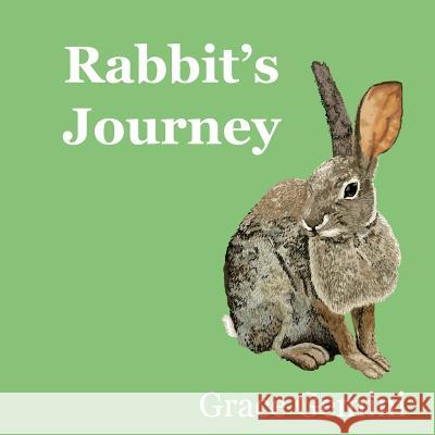 Rabbit's Journey Grace Gemini Betsy Riley 9781622200214 Blue Dragon Press