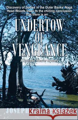 Undertow of Vengeance Joseph L. S. Terrell 9781622680962 Bella Rosa Books