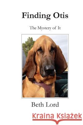 Finding Otis: The Mystery of It Beth Bruckner Lord 9781622690046