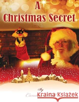 A Christmas Secret Candace Hall Linda Shaw 9781622740390 Sly Wolf Publishing