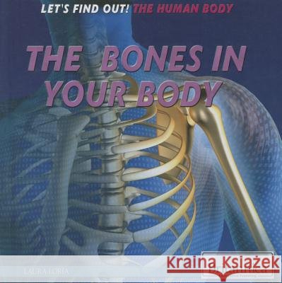 The Bones in Your Body Laura Loria 9781622756247
