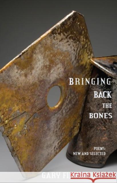 Bringing Back the Bones Gary Fincke 9781622881116