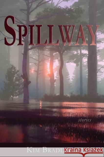 Spillway Kim Bradley 9781622882359 Stephen F. Austin University Press