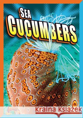 Sea Cucumbers Gail Terp 9781623102845 Bolt!