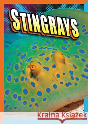 Stingrays Gail Terp 9781623102876