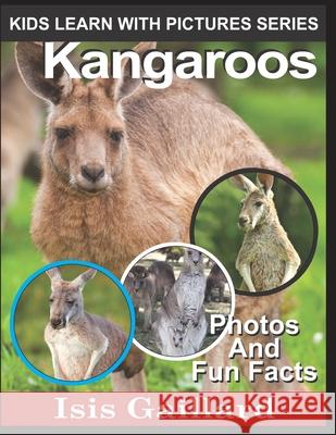 Kangaroos: Photos and Fun Facts for Kids Isis Gaillard 9781623276959