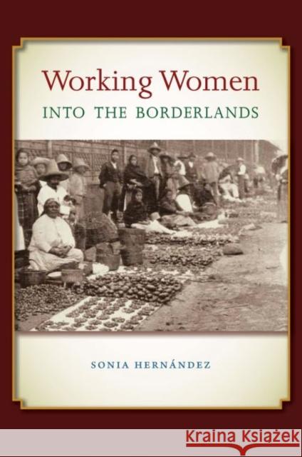 Working Women Into the Borderlands Sonia Hernaandez Sonia Hernandez Sterling D. Evans 9781623490409 Texas A&M University Press