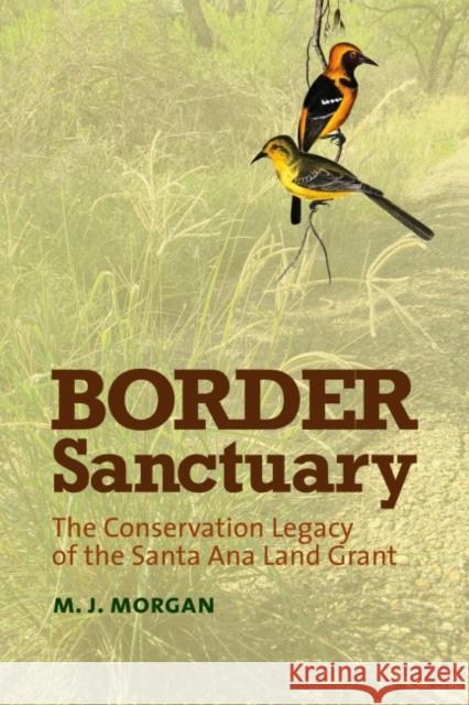 Border Sanctuary: The Conservation Legacy of the Santa Ana Land Grant M. J. Morgan 9781623493202 Texas A&M University Press
