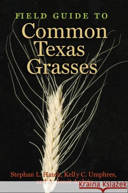 Field Guide to Common Texas Grasses  9781623493257 Not Avail