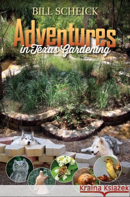 Adventures in Texas Gardening William J. Scheick 9781623495176 