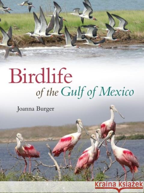 Birdlife of the Gulf of Mexico Joanna Burger John W. Tunnell Carl Safina 9781623495466