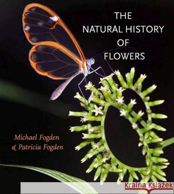 The Natural History of Flowers the Natural History of Flowers Fogden, Michael 9781623496449 Texas A&M University Press