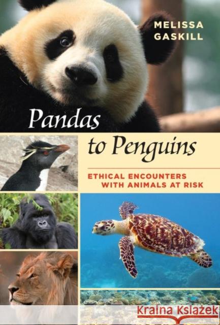 Pandas to Penguins, Volume 59: Ethical Encounters with Animals at Risk Gaskill, Melissa 9781623496692 Texas A&M University Press