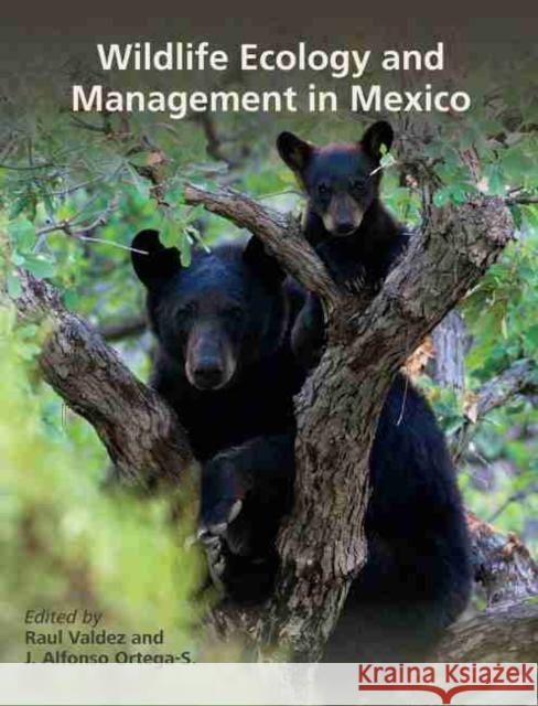 Wildlife Ecology and Management in Mexico Raul Valdez Jose Alfonso Ortega-Santos 9781623497231 Texas A&M University Press