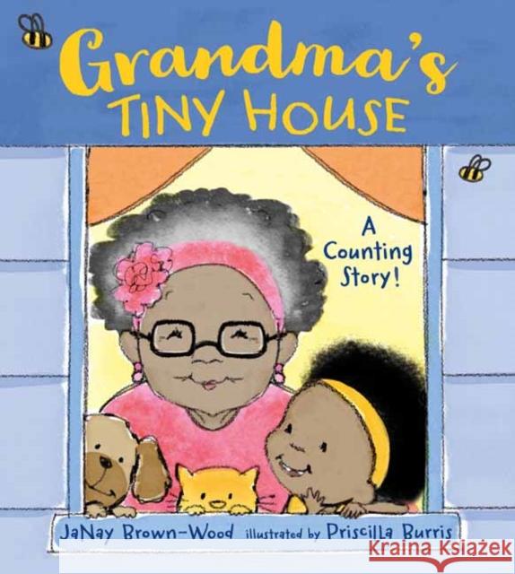 Grandma's Tiny House Janay Brown-Wood Priscilla Burris 9781623543051 Charlesbridge Publishing