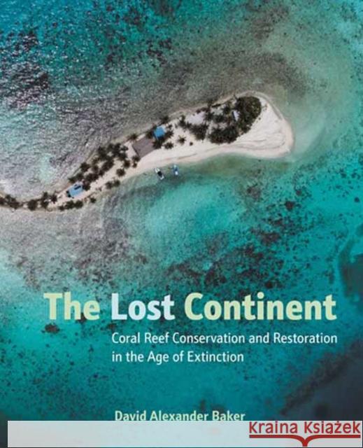 The Lost Continent David Baker 9781623545147 Charlesbridge Publishing,U.S.