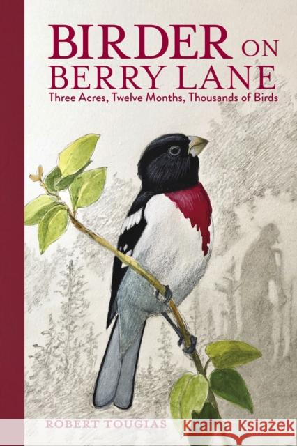 Birder on Berry Lane: Three Acres, Twelve Months, Thousands of Birds Robert Tougias 9781623545413 Charlesbridge Publishing,U.S.