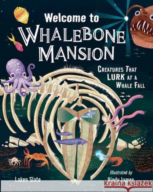 Welcome to Whalebone Mansion: Creatures That Lurk at a Whale Fall Bindy James 9781623545789 Charlesbridge Publishing
