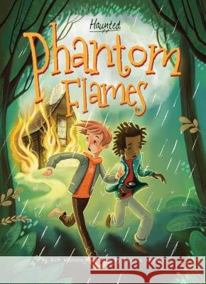 Phantom Flames Rich Wallace Daniela Volpari 9781624021503