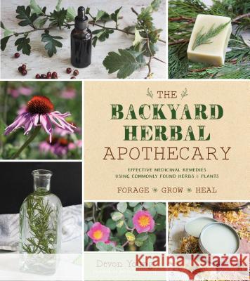 The Backyard Herbal Apothecary: Effective Medicinal Remedies Using Commonly Found Herbs & Plants Devon Young 9781624147463