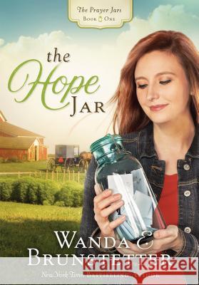 The Hope Jar Wanda E. Brunstetter 9781624167478 Shiloh Run Press