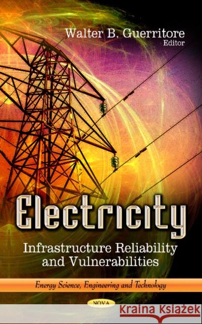 Electricity: Infrastructure Reliability & Vulnerabilities Walter B Guerritore 9781624176005 Nova Science Publishers Inc