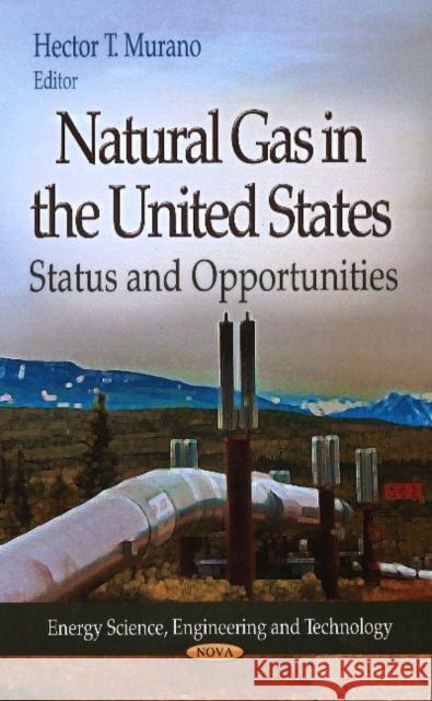 Natural Gas in the United States: Status & Opportunities Hector T Murano 9781624177613