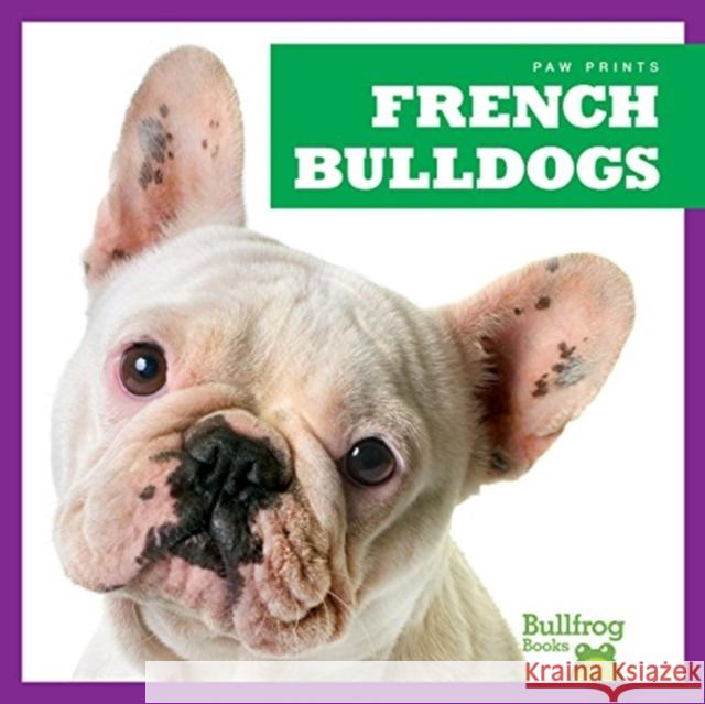 French Bulldogs Kristine Spanier 9781624967702 Jump! Incorporated