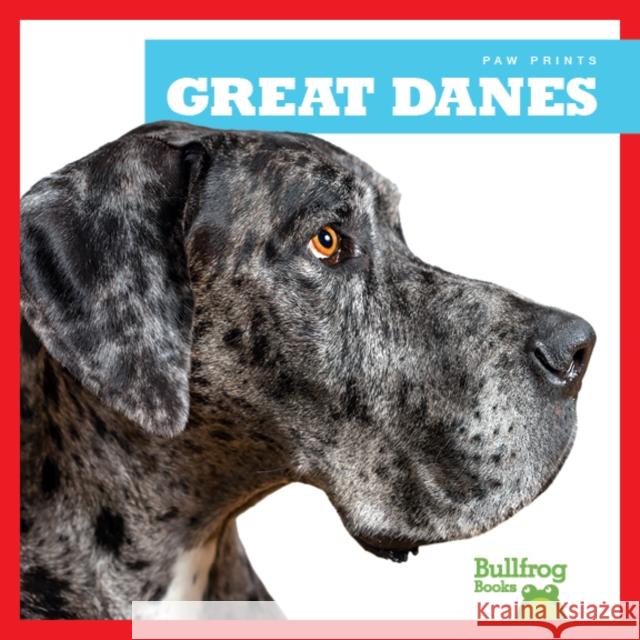 Great Danes Nadia Higgins 9781624967764