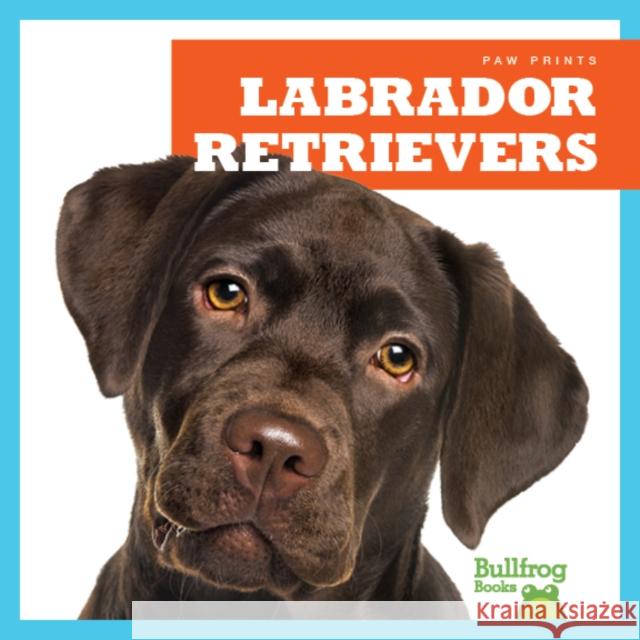 Labrador Retrievers Jenna Lee Gleisner 9781624967788 Jump! Incorporated