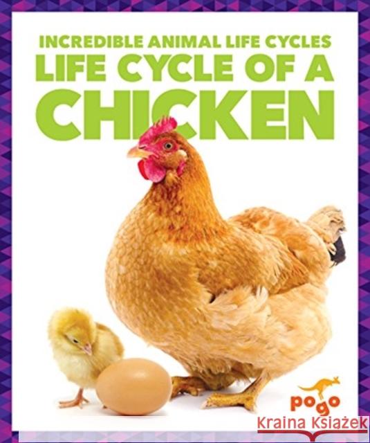 Life Cycle of a Chicken Karen Kenney 9781624968068 Jump! Inc.